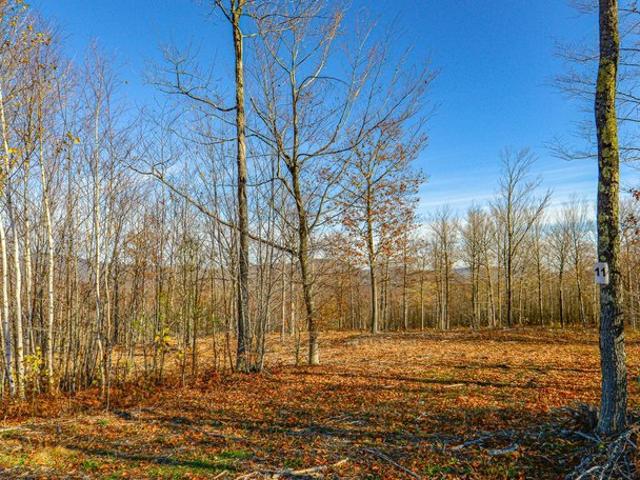 Land for sale in Maine