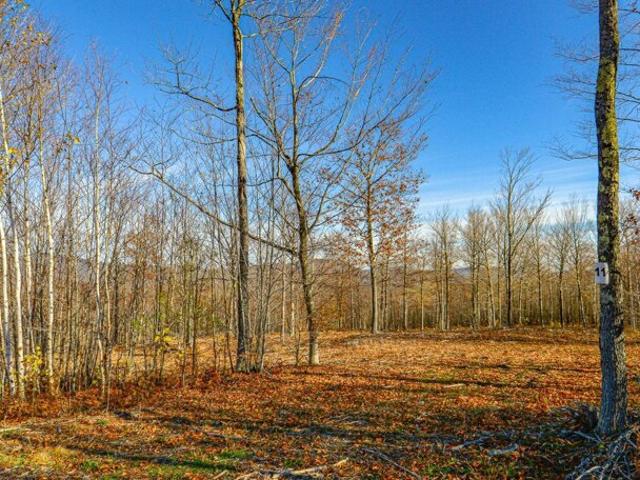 Land for sale in Maine