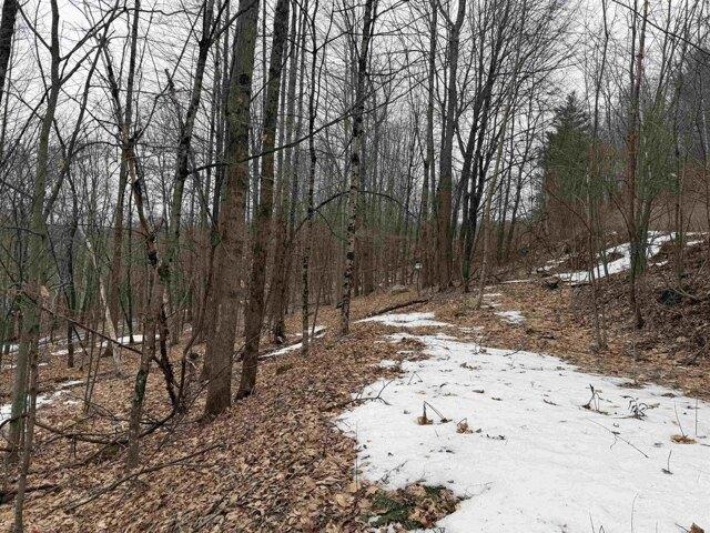 Land for sale in Strafford, Vermont