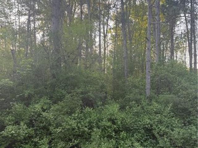 Land for sale in Madison, New York