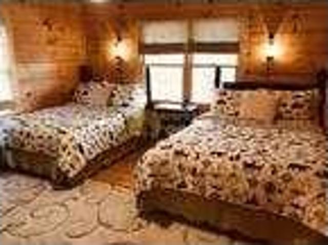 House for rent in Mineral Bluff