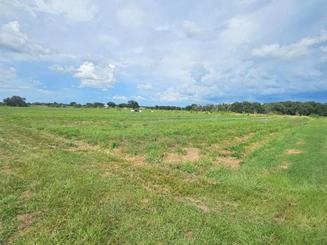 Land for sale in Zolfo Springs, Florida