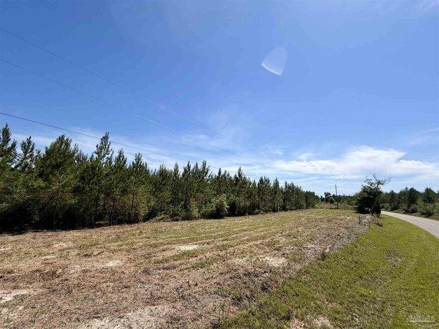 Land for sale in Jay, Florida
