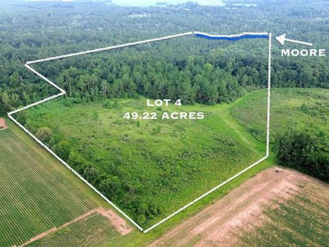 Land for sale in Jay, Florida