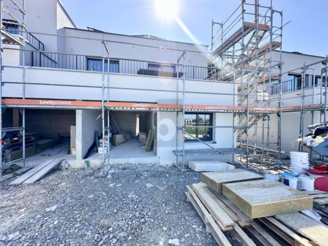 Einfamilienhaus kaufen in Möhlin, Aargau