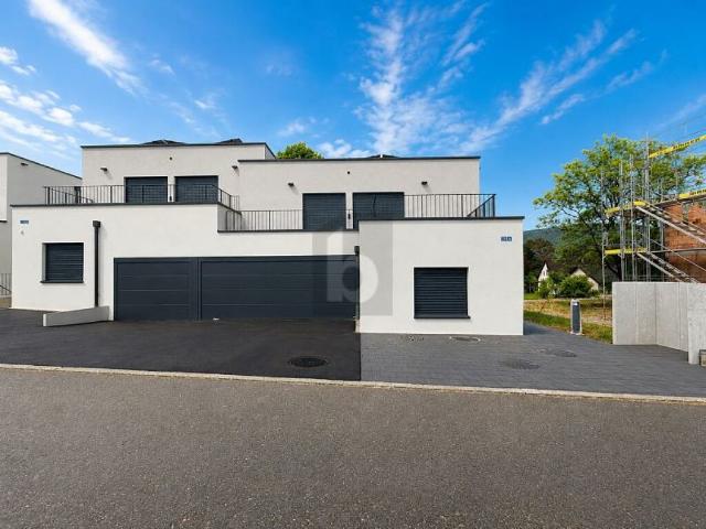 Einfamilienhaus kaufen in Möhlin, Aargau