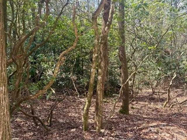Land for sale in Transylvania, North Carolina