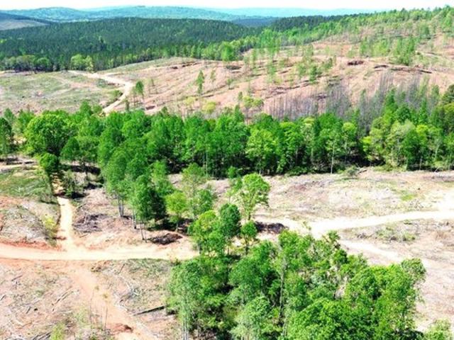 Land for sale in Ashland, Alabama