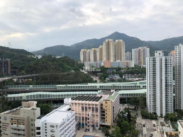 位於 大圍村 Tai Wai Village, 香港 Hong Kong, 提供 出售 的 公寓