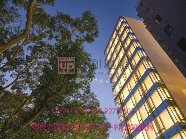 提供 出租 的 公寓