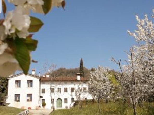 Appartamento in affitto a Colceresa, Vicenza