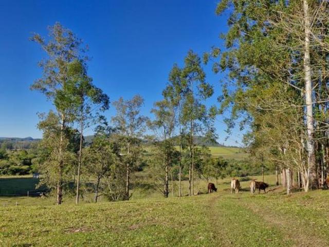 Sítio e chácara venda em Araricá