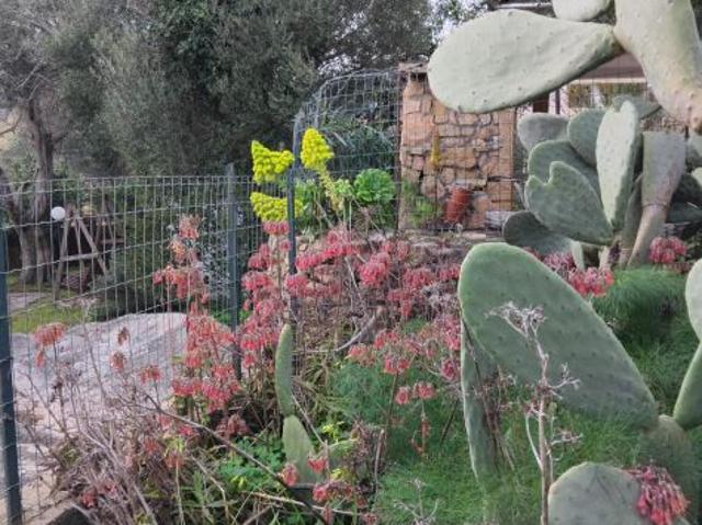 Appartamento in affitto a Puntaldia, Sardigna/Sardegna
