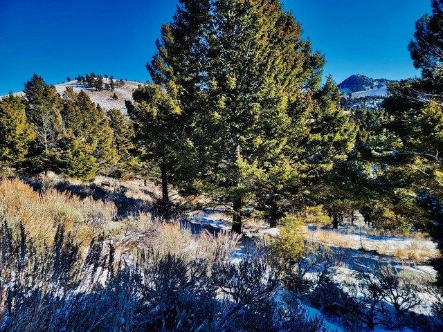 Land for sale in Basin, Montana