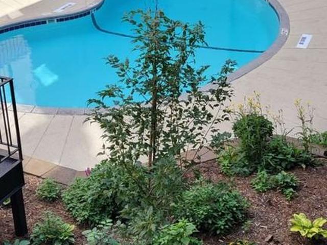 Apartment for rent in Hennepin, Minnesota