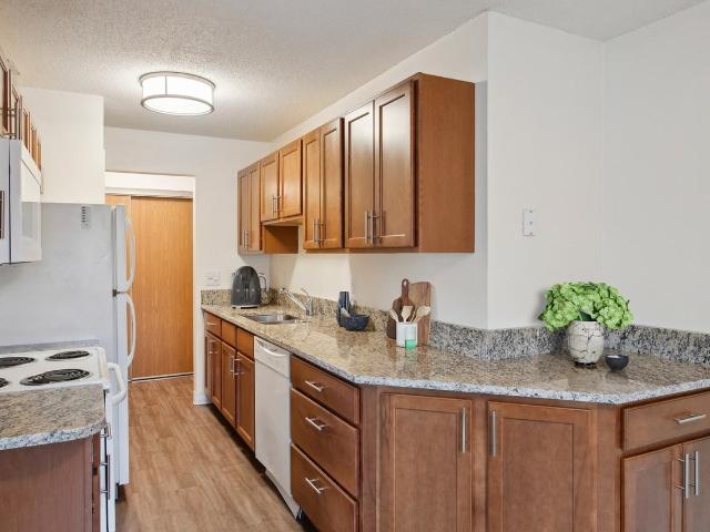 Apartment for rent in Ramsey, Minnesota
