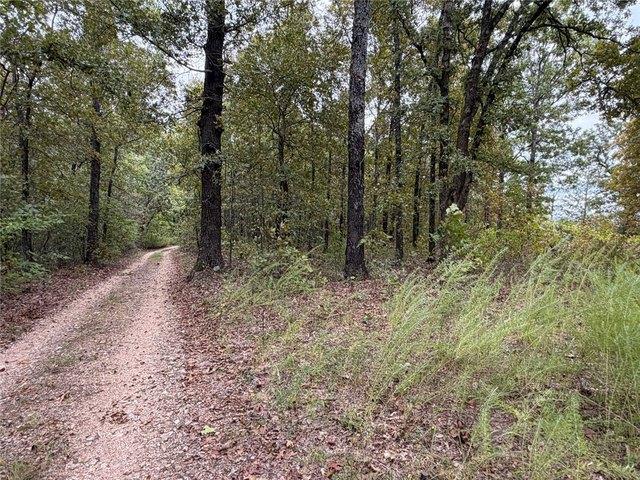 Land for sale in Saint Joe, Searcy County