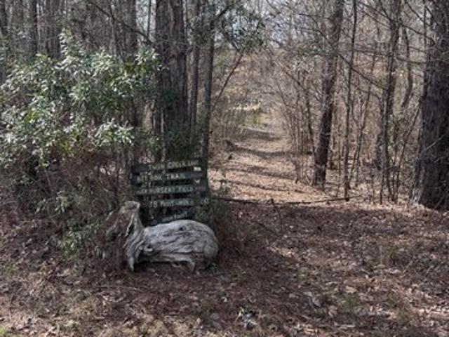 Land for sale in Upson, Georgia