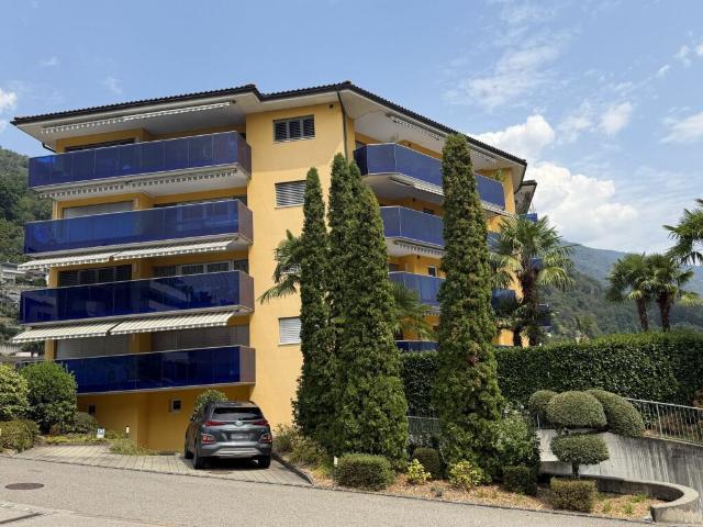 Wohnung kaufen in Minusio, Tessin