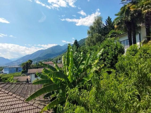 Apartment kaufen in Gordola, Tessin
