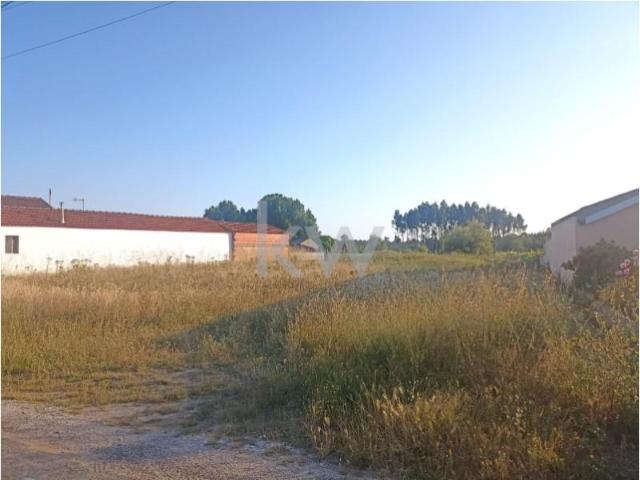 Terreno venda em Mira, Coimbra