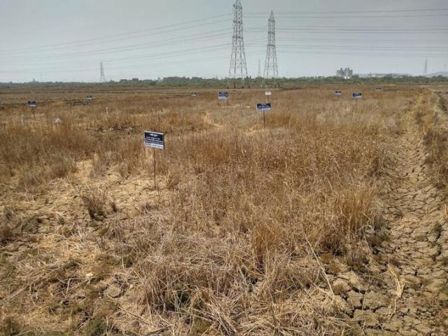 Land for sale in Bhayandar, National Capital Territory Of Delhi