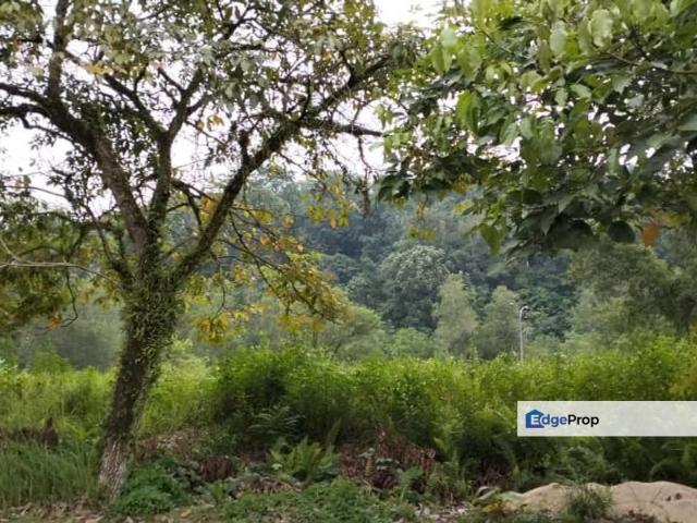 House for sale in Tanjong Sepat, Selangor