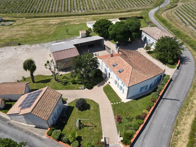 Château vente à Jonzac, Mirambeau