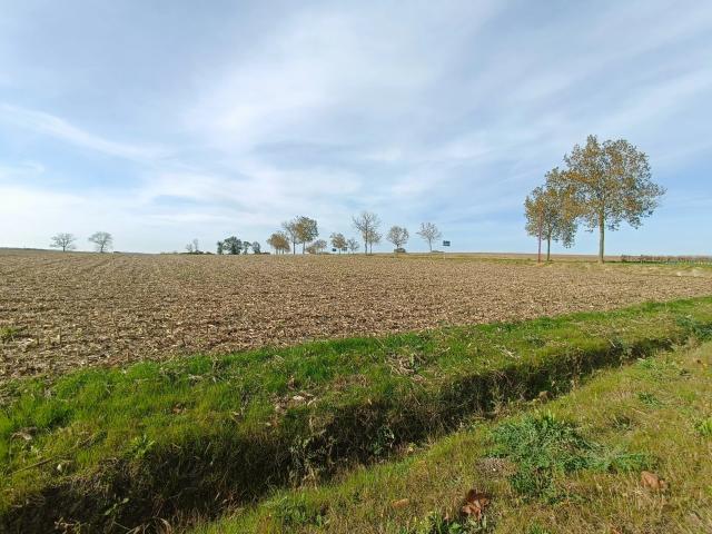 Terrain vente à Jonzac, Mirambeau