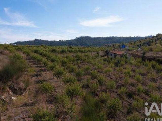 Terreno venda em Miranda Do Corvo, Coimbra
