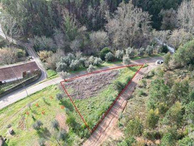 Terreno venda em Miranda do Corvo