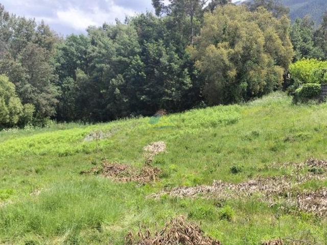 Terreno venda em Miranda Do Corvo, Coimbra