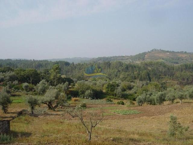 Terreno venda em Miranda Do Corvo, Coimbra