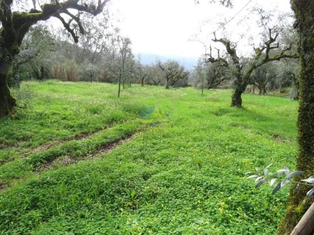 Terreno venda em Miranda Do Corvo, Coimbra