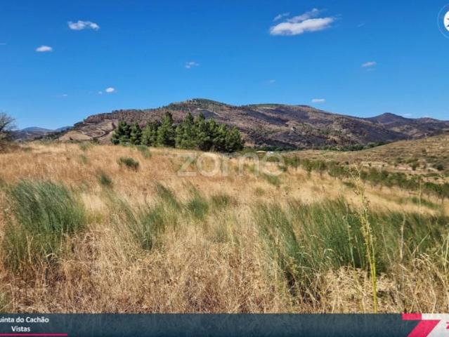 Terreno venda em Mirandela, Bragança