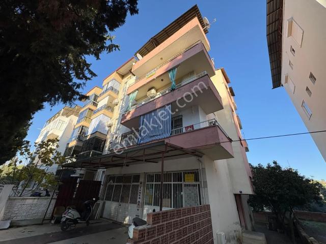 Nazilli, Aydin içerisinde kiralık mülk