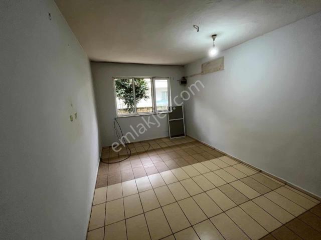 Nazilli, Aydin içerisinde kiralık mülk