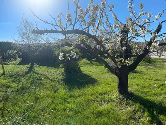 Terrain vente à France métropolitaine, Miribel