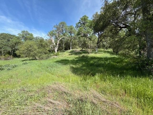Land for sale in Cool, California