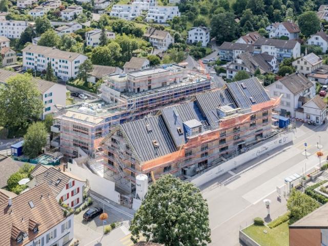 Wohnung kaufen in Langnau am Albis, Zürich