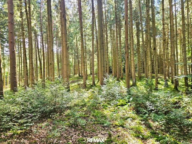 Gewerbe kaufen in Haselbach, Braunau am Inn