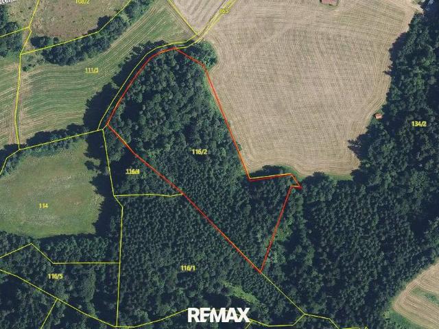 Gewerbe kaufen in Weiz, Steiermark
