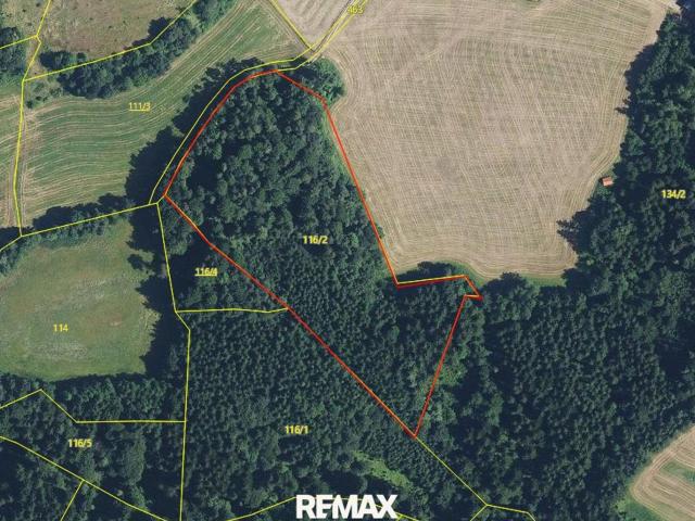 Landwirtschaft kaufen in St. Ruprecht an der Raab, Steiermark