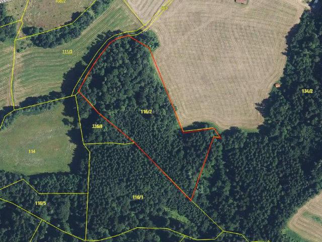 Gewerbe kaufen in Weiz, Steiermark