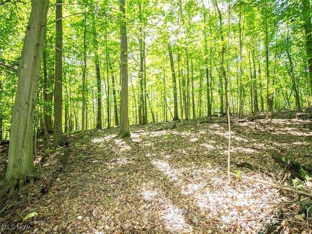 Land for sale in Bellville, Richland County