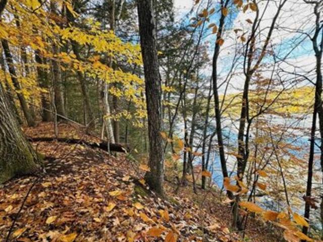 Land for sale in Springfield, Vermont