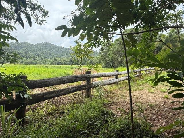Land for sale in Friday Pocket, Queensland