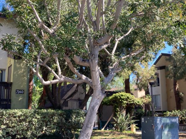 Condo for sale in Jacumba, California