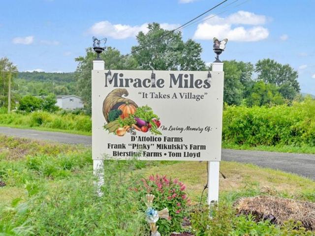 Land for sale in Pine Island