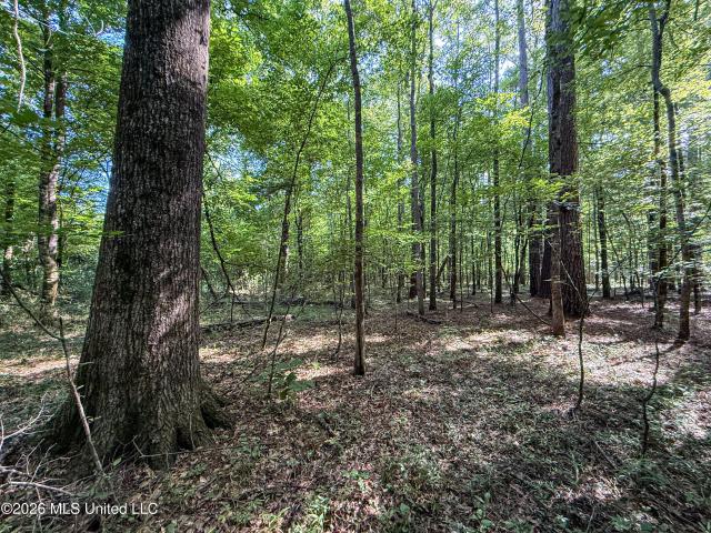 Land for sale in Sturgis, Mississippi
